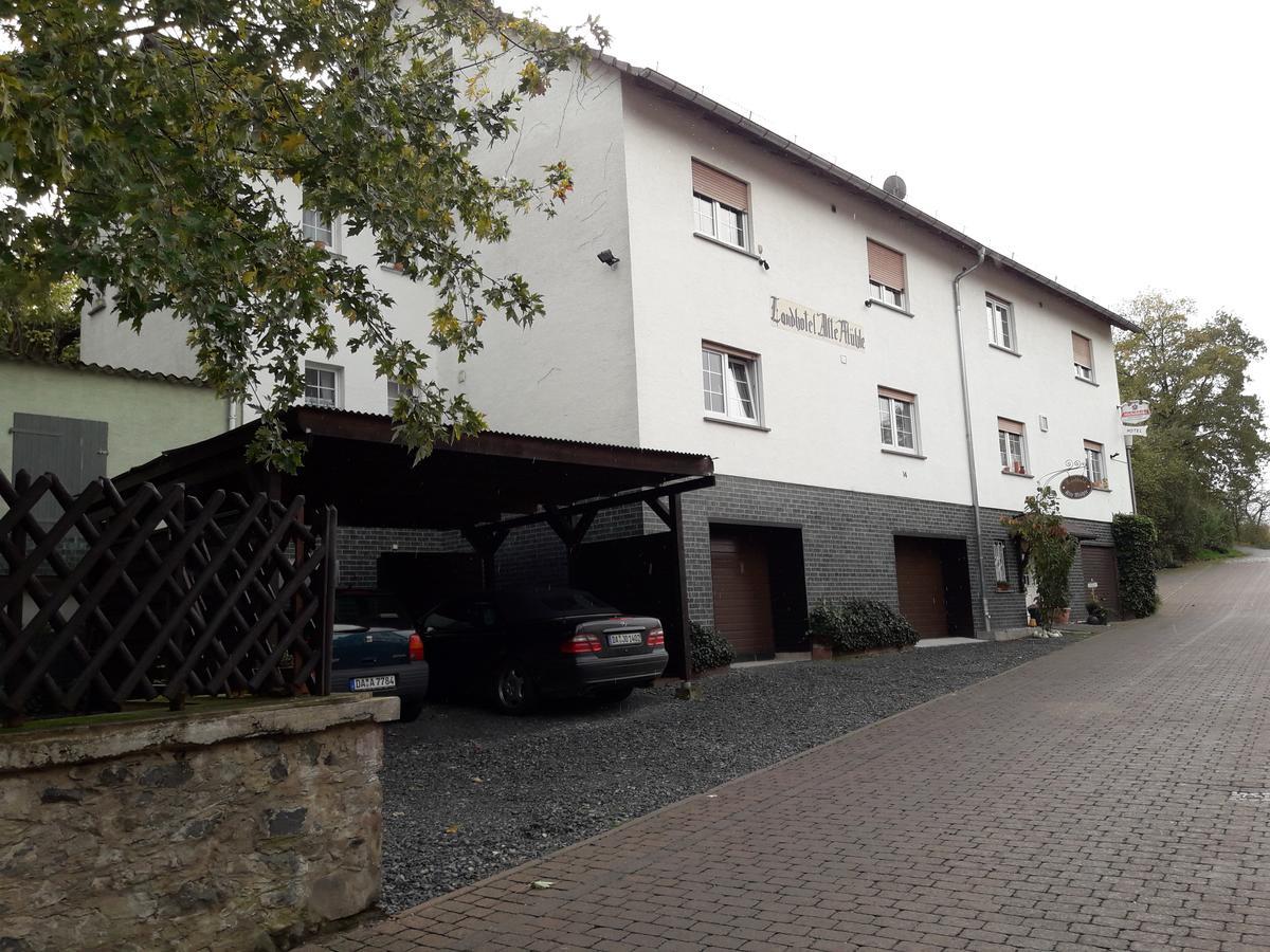 Landhotel Alte Muehle Modautal Екстериор снимка