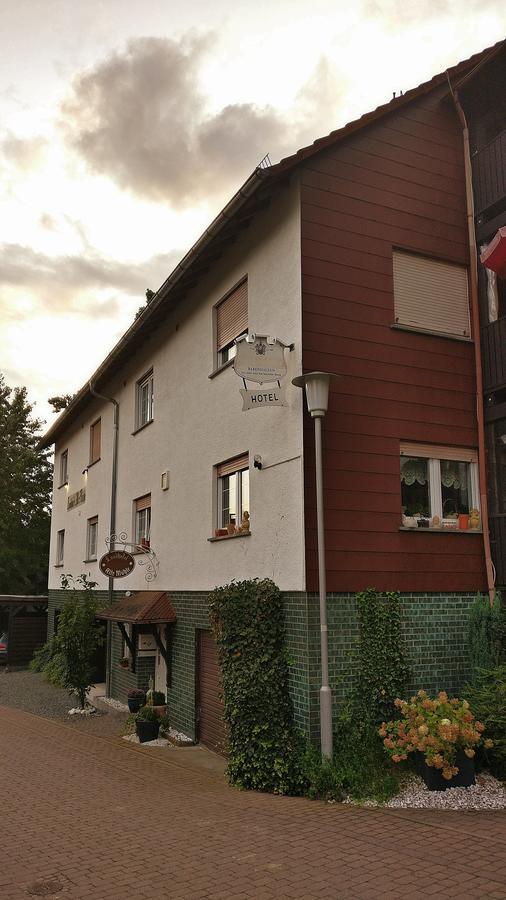 Landhotel Alte Muehle Modautal Екстериор снимка