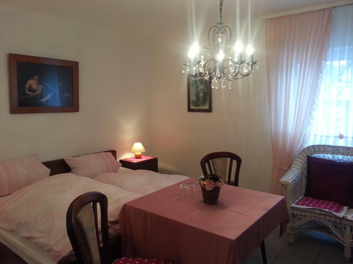 Landhotel Alte Muehle Modautal Екстериор снимка